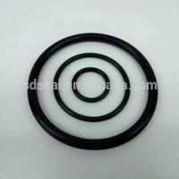 Fluorocarbon O Ring For Sealing