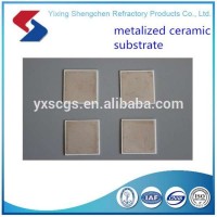 Electrical Metallized Ceramic Parts/Substrate