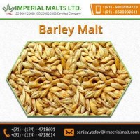 Trusted Supplier Supplying Best Organic Malted Barley For Beer Production