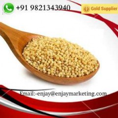 Yellow Millet Cheap Price Best Quality图1