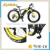 New Model Cheap Dic Brake 500w Electric Bike Fat E Bike