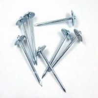 Galvanized Umbrella Head Roofing Nails Supplier