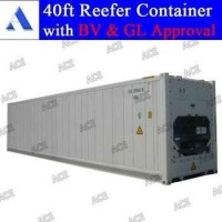 Brand New Carrier Reefer Container