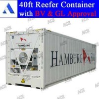 New Thermo King Reefer Container