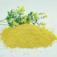 Best Quality Bee Bread Bulk New Zealand Bee Pollen