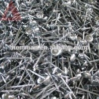 Low Price Galvanized Roofing Nails