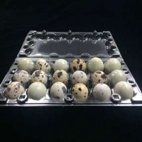 Manufacture Plastic Quail Egg Tray For Packaging   Quail Egg Cartons