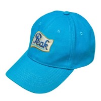 Heavy Brushed Cotton Baseball Cap for Company Business (CH105W)