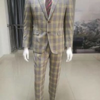 2019 High Quality Popular Men's Suit in Check (WL2019)