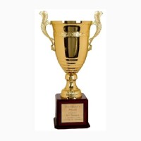 Wholesale Metal Gold Award Trophy Creative Design Zinc Alloy Metal Honor Sport Trophy (13)