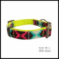 Pretty Dog Collars with Fashion Pattern