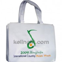 PU Bag/Shopping Bag (BG-14)