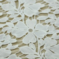 Full Flower Hollow out Embroidery Lace for Dress