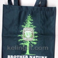 No-Woven Shopping Bag/Promotion Bag (BG-21)