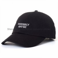 Hot Sale Custom 100% Cotton 3D Embroidery 6 Panel Baseball Cap Hat