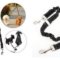 OEM Cat Dog Leash with Elastic String for Two Pets