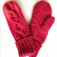 Lady Fashion Wool Gloves (JYG-25255)