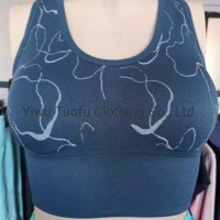 Seamless Sport Vest Gym Wear Yoga Wear Sportswear Fitness Wear Sport Bra Breathable Top