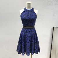 Womens Round Neck Lace Mini Dress