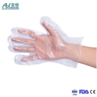 Protective Waterproof Transparent Disposable Plastic PE Food Handling Glove