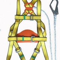 Full Body Safety Harness with 4 Adjustable Point & Safety Rope