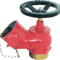 Sng Fire Hose Landing Valve