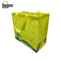 The Cheapest Machine Made TNT Ultrasonic Non Woven Bags