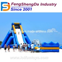 Outdoor Inflatable Bouncer Water Slide Bouncy Sliding Amusement Toy (WS-01)