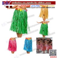 Promotional Items Halloween Carnival Costumes Yiwu Agent (B3053)