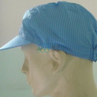 ESD Cap with Brim (LTLD204-1)