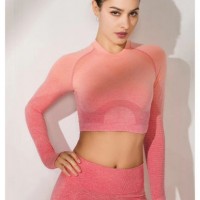 High Quality Cheap Women Two Piece Gym Sexy Fitness Sport Active Wear Yoga Wear Set