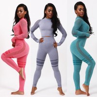 Hot Style 2 Piece Long Sleeve Outfit Sport Bodycon Crop Top Long Pant Tracksuit