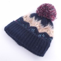 New Fashion Knitted Wool Hat for Winter