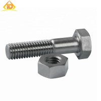 Top Quality Stainless Steel 304 316 Hex Bolts with Nuts