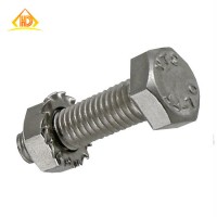 Stainless Steel Hex Cap Screw / Bolt 18-8 / 304/316 with Nut