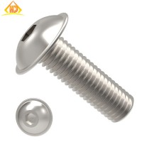 Supply Special Offer Stainless Steel Flange Button Head Bolts