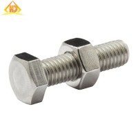 M27X110 Stainless Steel High Strength Hex Bolt with Nut