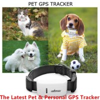 Low Price! High Quality  2015 New Tk909 Tk Star Pet GPS Tracker Personal Item GPS Tracker/Ios APP an