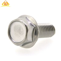 DIN6921 SS304 M5 Hexagon Flange Head Bolt