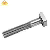 Stainless Steel Square Head T Bolts