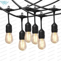 12 Volt LED Outdoor String Lights with Hanging Sockets.