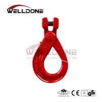 Wd 738 Hot Sale Factory G100 G80 New Type Clevis Selflock Hook for Lifting Chain Slings