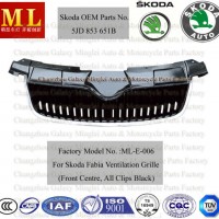 Auto Grille for Skoda Fabia From 2007 (5JD853668B)