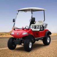 Electric Buggy Utility Vehicle-Hunting Cart (DEL2022D  2-Seater)