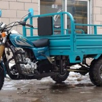 Big Size Cargo Tricycle Three Wheel Motor Trike