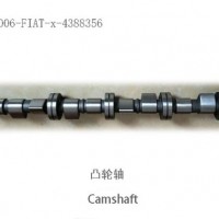 FIAT/GM Camshaft/ Auto Parts/Nockenwelle/Nokka/Nokas/4388356