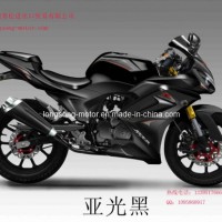 Racing Bike Horizon 250cc High Speed Motorcycle