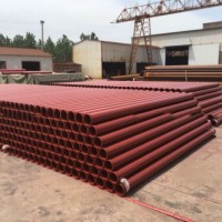 Double Wall Boom Pipe (2.5+2.0mm) for Schwing  Pm  Cifa