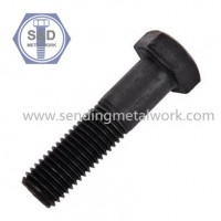 Hex Head Cap Screw SAE J429 Grade8 Black Finish