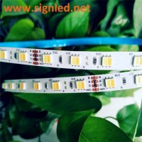 SMD5050 60 Diodes LED Strips Light